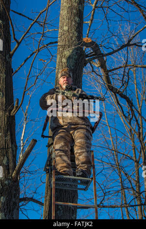 Armbrust Jäger in einem Baumbestand Stockfoto