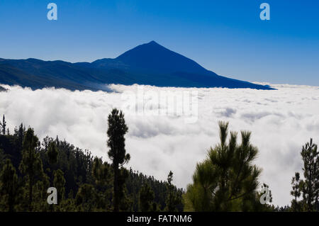 Teneriffa, Kanarische Inseln - der Teide-Nationalpark. Chimaque Mirador Ansicht (abseits der Strasse TF-24). Mount Teide über den Wolken. Stockfoto