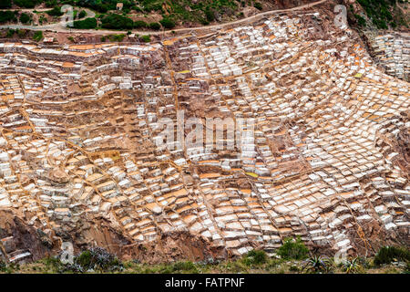 Blick auf den Maras Salzminen in der Nähe von Dorf Maras, Heiliges Tal, Peru Stockfoto