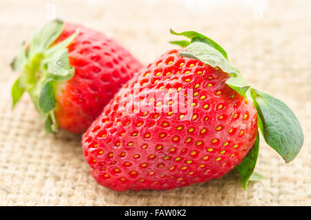 Reife rote Erdbeeren auf Sack Hintergrund. Stockfoto