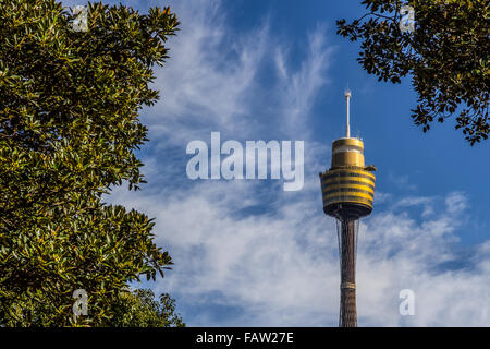 Sydney Tower-Blick vom park Stockfoto