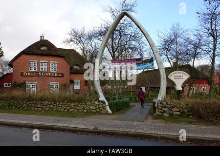 Der Eingang in die Dr. Carl-Haeberlin-Friesisch-Museum in Wyk auf Föhr Insel (Schleswig-Holstein), Deutschland, 19. November 2015. Der Eingang des Areals ist flankiert von Kieferknochen eines Wals, die durchlaufen werden können. Foto: Jens Kalaene - kein Draht-Dienst- Stockfoto