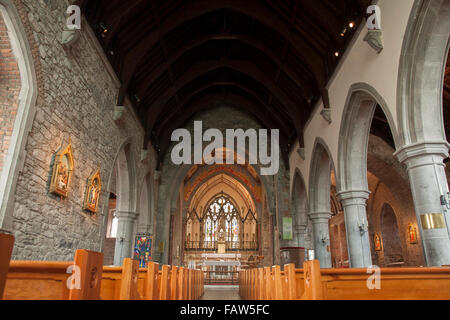 Hauptschiff der Kirche der Heiligen Dreifaltigkeit Abtei; Adare, Limerick, Irland Stockfoto