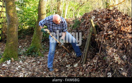 Mann Laubrechen im Wald von Norg. Die Niederlande Stockfoto