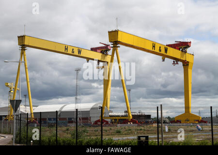 Die H&W-Hafenkrane Belfast Harland und Wolffs ikonische gelbe Werftkrane Samson (höchste) und Goliath wurden von Krupp gebaut. Stockfoto
