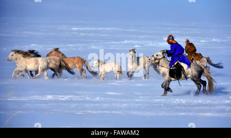 West Ujimqin-Banner, Chinas autonomen Region Innere Mongolei. 5. Januar 2016. Hirten lasso Pferde im Westen Ujimqin-Banner, Nord-China autonomen Region Innere Mongolei, 5. Januar 2016. Bildnachweis: Ren Junchuan/Xinhua/Alamy Live-Nachrichten Stockfoto