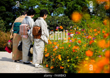 Frauen bekleidet im traditionellen japanischen Stil an einer Teezeremonie mit Rikyu Gardens, Tokio. Stockfoto