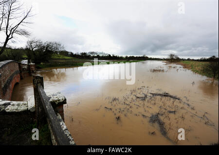 Touristenort, Sussex, UK. 5. Januar 2016. Überschwemmungen im Touristenort in East Sussex, wo der Fluß Cuckmere seinen Ufern geplatzt ist. Die Wettervorhersage ist bei starkem Regen fallen in den nächsten 12 Stunden im Bereich verursacht mehr Probleme Kredit weiter: Simon Dack/Alamy Live News Stockfoto