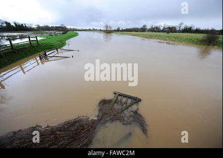 Touristenort, Sussex, UK. 5. Januar 2016. Überschwemmungen im Touristenort in East Sussex, wo der Fluß Cuckmere seinen Ufern geplatzt ist. Die Wettervorhersage ist bei starkem Regen fallen in den nächsten 12 Stunden im Bereich verursacht mehr Probleme Kredit weiter: Simon Dack/Alamy Live News Stockfoto