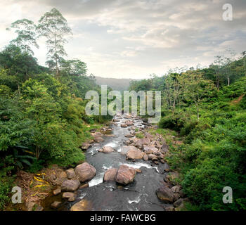 Bewölkung und Fluss im Tropenwald Stockfoto