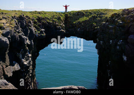 Felsbogen auf Klippe bei Arnarstapi Natur bewahren, Snaefellsness Halbinsel, Island Stockfoto
