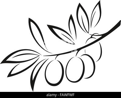 Olivenzweig mit Beeren schwarze Symbol Stock Vektor