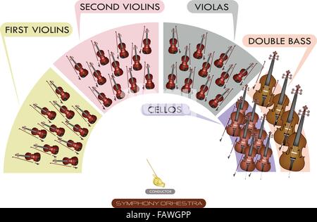 Abbildung Sammlung von verschiedenen Abschnitten des Saiteninstrument für Sinfonieorchester Bestückungsplan, Violine, Viola, Cello ein Stock Vektor