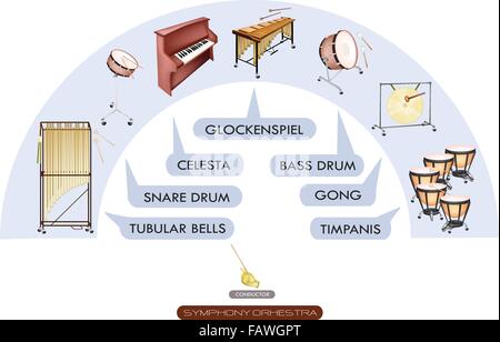 Abbildung Sammlung von verschiedenen Abschnitten des Percussion-Instrument für das Philharmonia Symphony Orchestra sitzen plant Stock Vektor