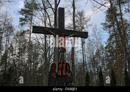 Szpegawsk Polen 5. Januar 2015 im Wald in der Nähe von Szpegawsk, nördlichen Polen (Las Szpegawski) deutschen Nazis in der Nähe von 7000 polnische und jüdische Inhibitians Starogard Gdanski und Kociewie und Pommern Regionen ausgerottet. Die Opfer wurden in 39 Masse Gruben begraben. Nationale Aktivisten, Lehrer, Priester, intellektuelle und psychiatrischen Klinik in Kocborowo Patienten wurden im Szpegawski-Wald ermordet. Bildnachweis: Michal Fludra/Alamy Live-Nachrichten Stockfoto