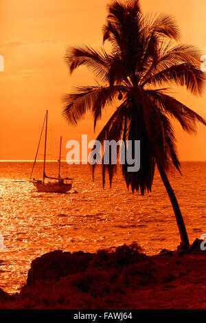 Segelboot und Palm-Baum bei Sonnenuntergang; Kihei, Maui, Hawaii, Vereinigte Staaten von Amerika Stockfoto