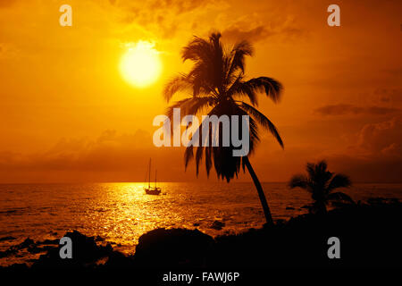 Segelboot und Palm-Baum bei Sonnenuntergang; Kihei, Maui, Hawaii, Vereinigte Staaten von Amerika Stockfoto