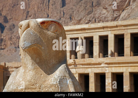 Horus in der Leichenhalle Tempel von Königin Hatshepsut / Djeser-Djeseru bei Deir el Bahari in der Nähe von das Tal der Könige, Luxor, Ägypten Stockfoto