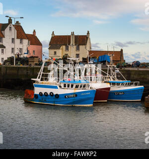 Angelboote/Fischerboote vertäut im Inneren der Hafenmauer in Pittenweem auf der Küste von Fife, Schottland Stockfoto