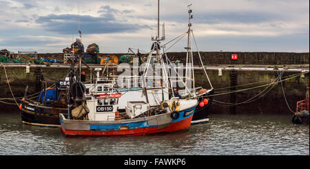 Angelboote/Fischerboote vertäut im Inneren der Hafenmauer in Pittenweem auf der Küste von Fife, Schottland Stockfoto