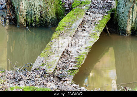 Kleine alte und Moos bedeckt Überquerung eines kleinen Baches. Trockene Blätter bedecken die alten Planken und das Wasser läuft ruhig drunter. WA Stockfoto