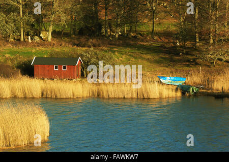 Eine kleine rote Holz Bootshaus im Schilf nahe am Wasser gelegen. Wald-Mix mit Feldern im Hintergrund. Wie in l Stockfoto