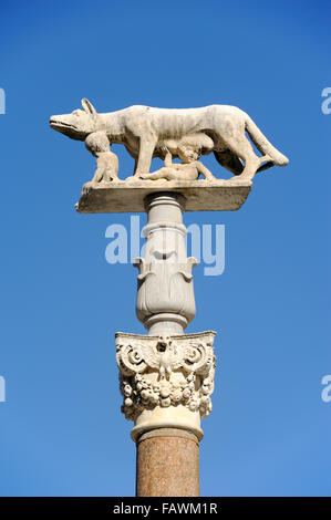 Italien, Toskana, Siena, Cathedral Square, Wölfin Statue mit Senius und Aschius, die zwei legendären Gründer von Siena Stockfoto