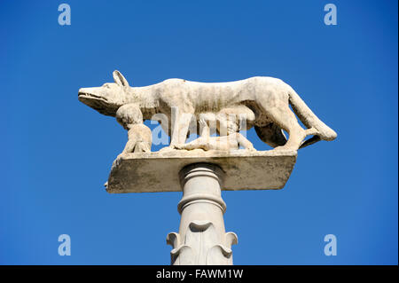 Italien, Toskana, Siena, Cathedral Square, Wölfin Statue mit Senius und Aschius, die zwei legendären Gründer von Siena Stockfoto