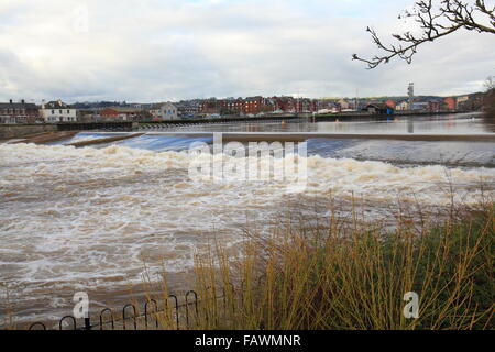 Karottenhosenträger Wehr, Exeter, Devon, UK Stockfoto