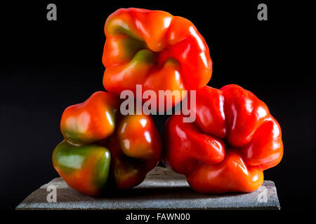 Nahaufnahme von der Unterseite der drei bunt und interessant geformte rote/grüne Paprika übereinander auf ein Holzbrett und schwarzem Hintergrund Stockfoto