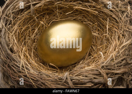 GOLDENE EI IM VOGELNEST Stockfoto