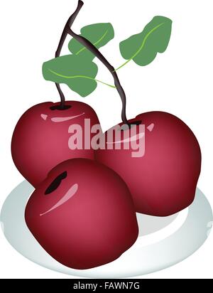 Frisches Obst, eine Illustration von Delicious frische Red Apple mit grüne Blätter auf A schöne weiße Schale Isolated on White Hinterg Stock Vektor