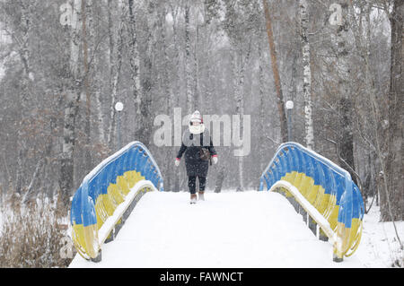 Kiew, Ukraine. 4. Dezember 2015. Mädchen geht in den Park bei starkem Schneefall in Kiew. © Swoboda Stepanov/ZUMA Draht/Alamy Live-Nachrichten Stockfoto