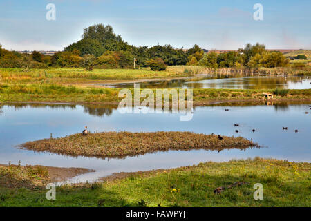 Filey Dämme; Yorkshire Wildlife Trust Reserve; UK Stockfoto