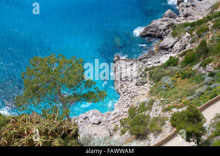 Insel Capri, unberührten Landschaft, Italien Stockfoto