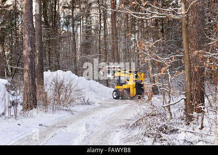 Der Traktor löscht Schnee von der Straße in den Wald Stockfoto