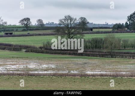 Felder bedeckt mit Wasser, nach der schweren Januar machen das Leben schwer für die Bauern das Land erhalten, auf Regen Stockfoto