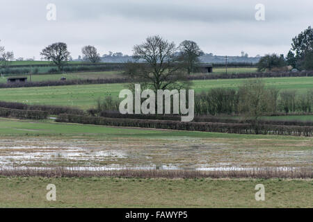 Felder bedeckt mit Wasser, nach der schweren Januar machen das Leben schwer für die Bauern das Land erhalten, auf Regen Stockfoto