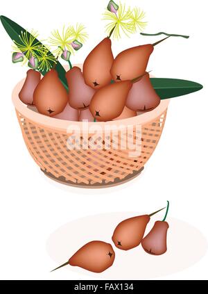 Frische Früchte, rotes Wasser Apfel oder Rosenapfel mit grünen Blätter auf einen schönen Weidenkorb Stock Vektor