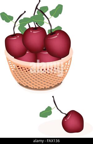 Frisches Obst, leckeren frischen roten Apfel mit grünen Blättern auf einem schönen Weidenkorb Stock Vektor
