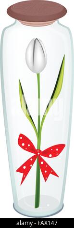 Schöne weiße Tulpe mit Red Ribbon und Bogen halten eine schöne leere Geschenkanhänger in einem hohen Glas Blume ist ein perfektes romantisches Stock Vektor