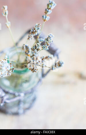 Sticks von getrockneten Lavendelblüten in einem Glas auf rustikalen Holztisch Stockfoto
