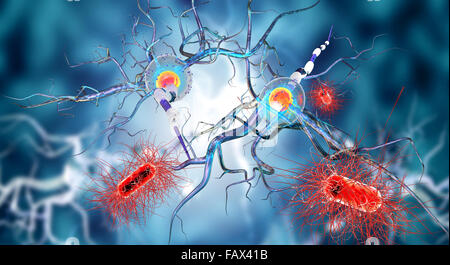 Nervenzellen, Konzept für neurologische Erkrankungen, Tumoren und Gehirn-Chirurgie. Stockfoto