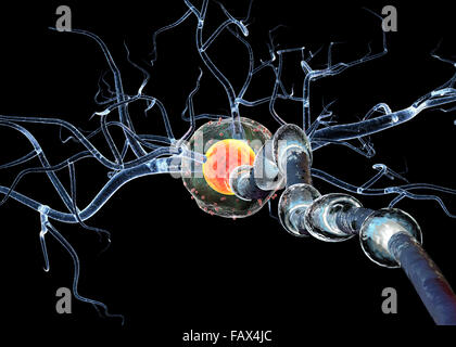 Nervenzellen, Konzept für neurologische Erkrankungen, Tumoren und Gehirn-Chirurgie. Stockfoto