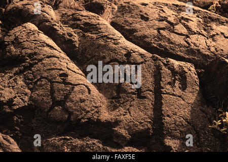 Big Island, Hawaii, Hawaii Volacoes Nationalpark, Pu'uloa Petroglyphen in der ahupua'a (Bodenordnung) von Panau Nui Stockfoto