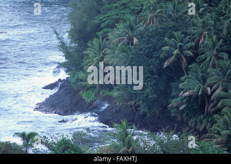 Big Island, Hawaii, etwas außerhalb von Hilo auf Hamakua Küste, Onomea Bay Küste gesäumt mit Palmen Stockfoto