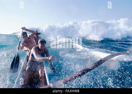 Big Island, Hawaii, Mauna Lani, South Kohala Coast, Surfen, Kanu, Weiblich & zwei Männchen fangen Welle Kohala Küste, Mauna Lani Stockfoto