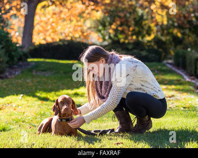 Teenager-Mädchen spielt mit ihrer Familie Hund in der Sonne. Stockfoto