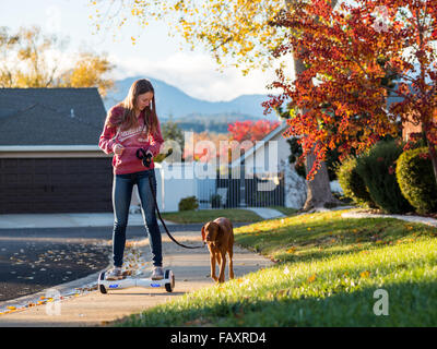 REDDING, CA, USA - 24. November 2015: Teenager-Mädchen Spaziergänge mit Hund selbstbalancierende Zweirad-Roller, auch genannt ein Hoverboard. Stockfoto