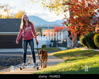 REDDING, CA, USA - 24. November 2015: Teenager-Mädchen Spaziergänge mit Hund selbstbalancierende Zweirad-Roller, auch genannt ein Hoverboard. Stockfoto